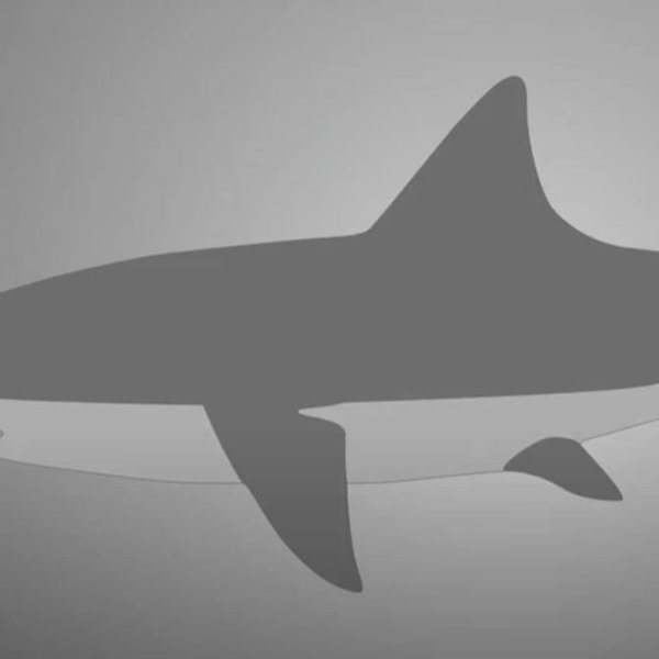 Thema: Innovation und Nachhaltigkeit