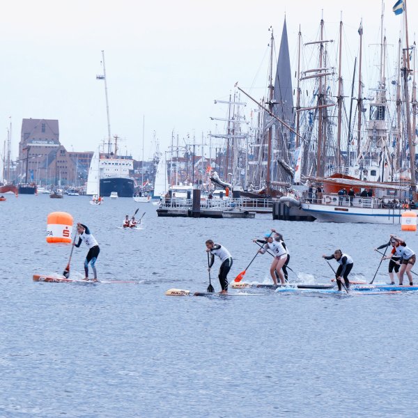 sup dm flatwater rostock 2016 27